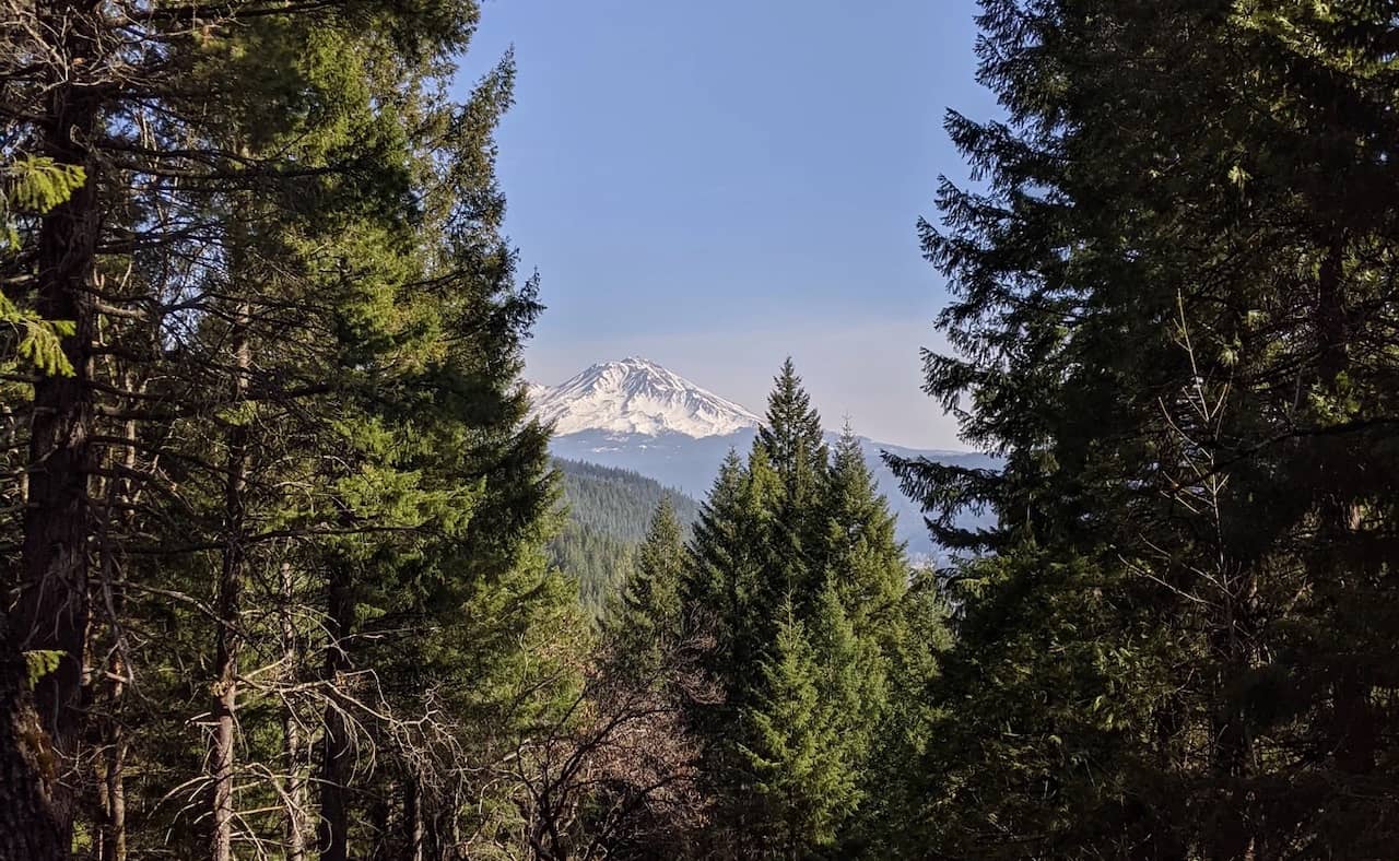 Castle Crag State Park Campground