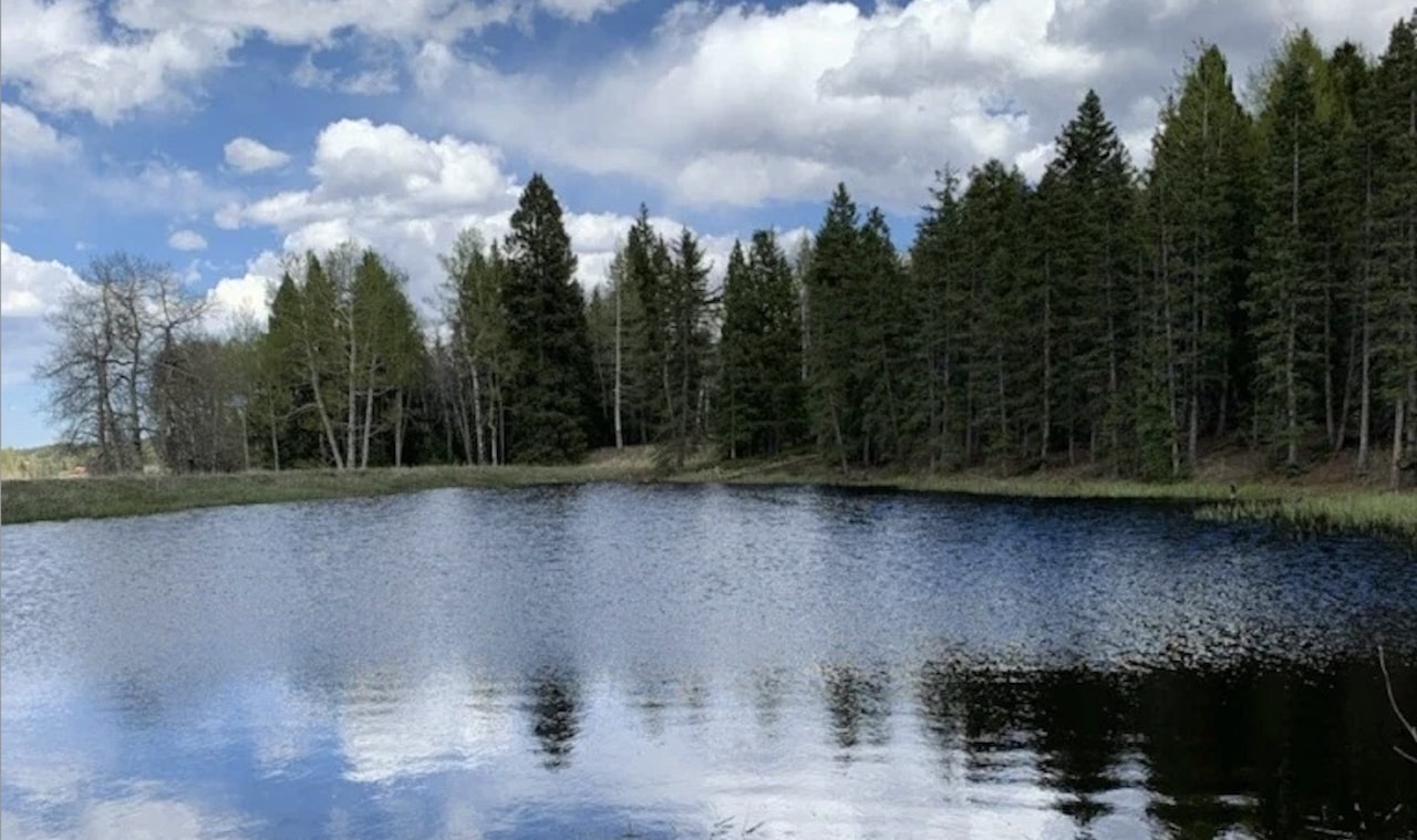 Mueller State Park