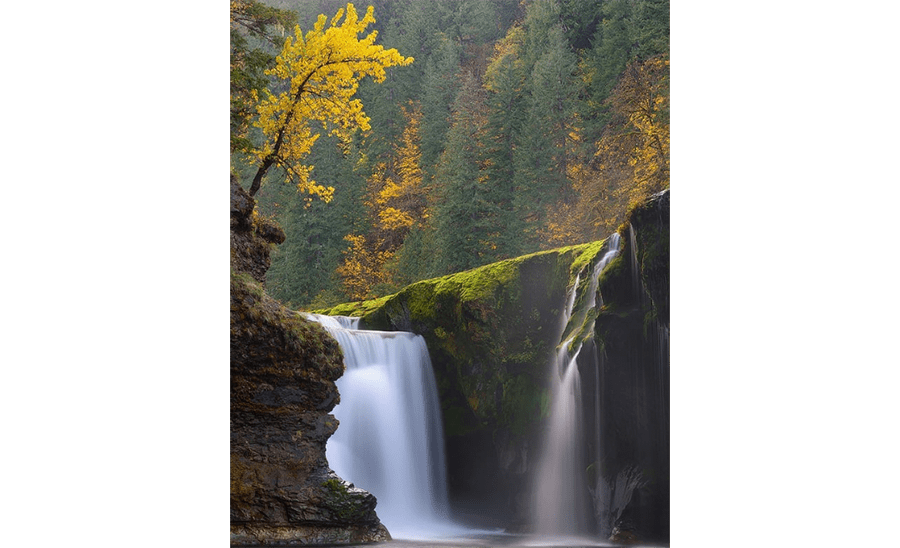 rv-rental-fall-color-road-trip-Columbia-river-gorge-(1).png