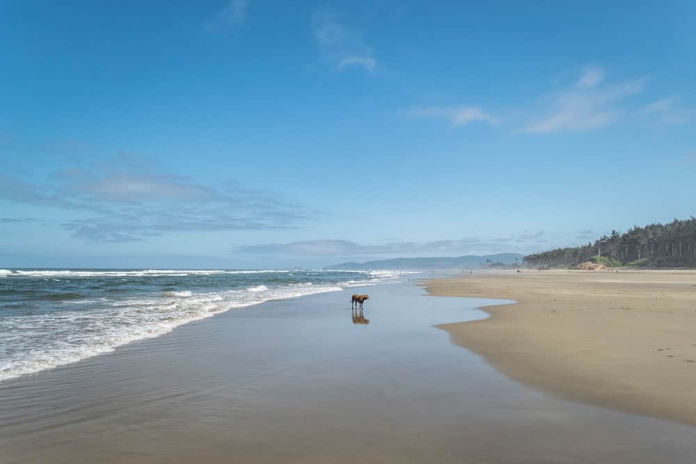 oregon-coast-rv-parks.jpg