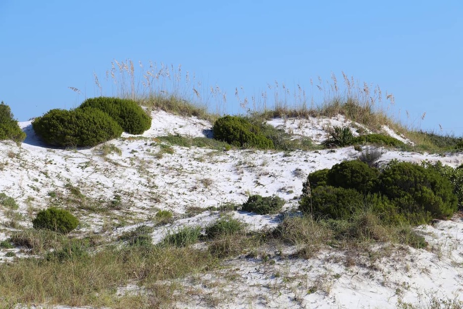 henderson beach state park camping