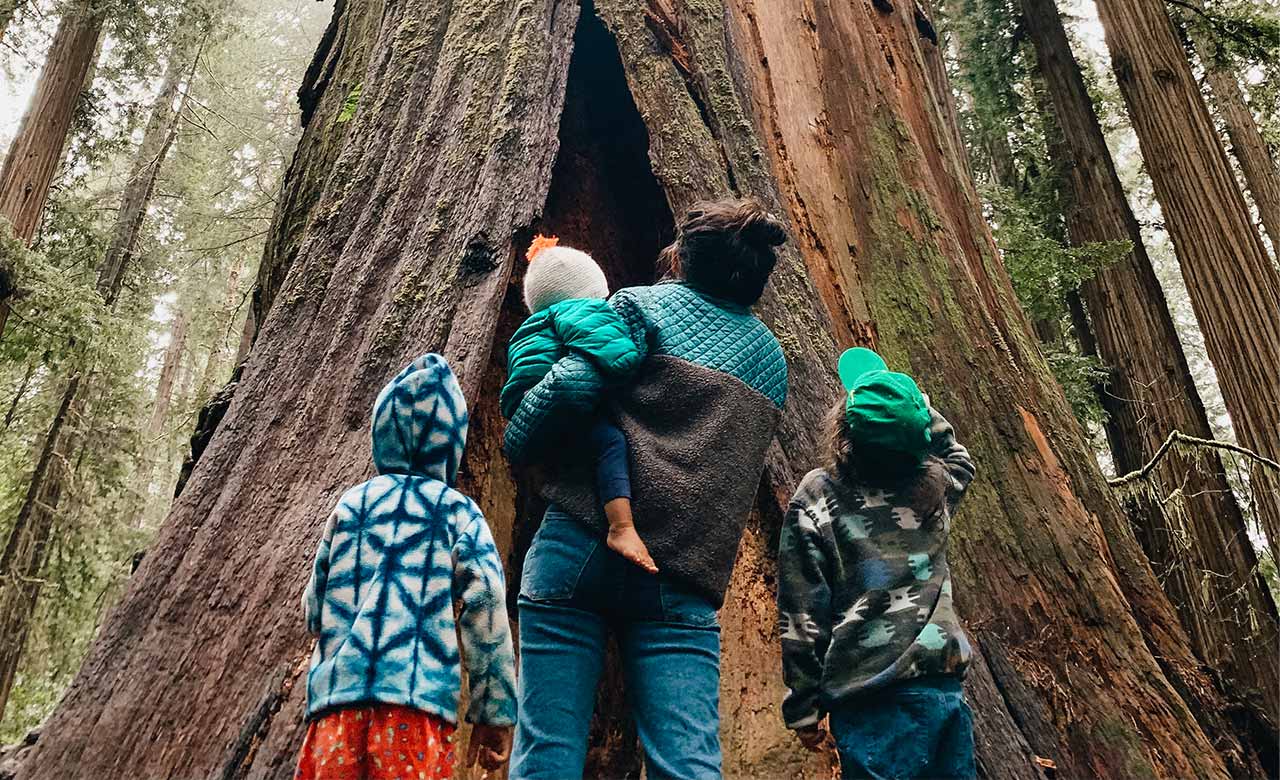 sequoia national park