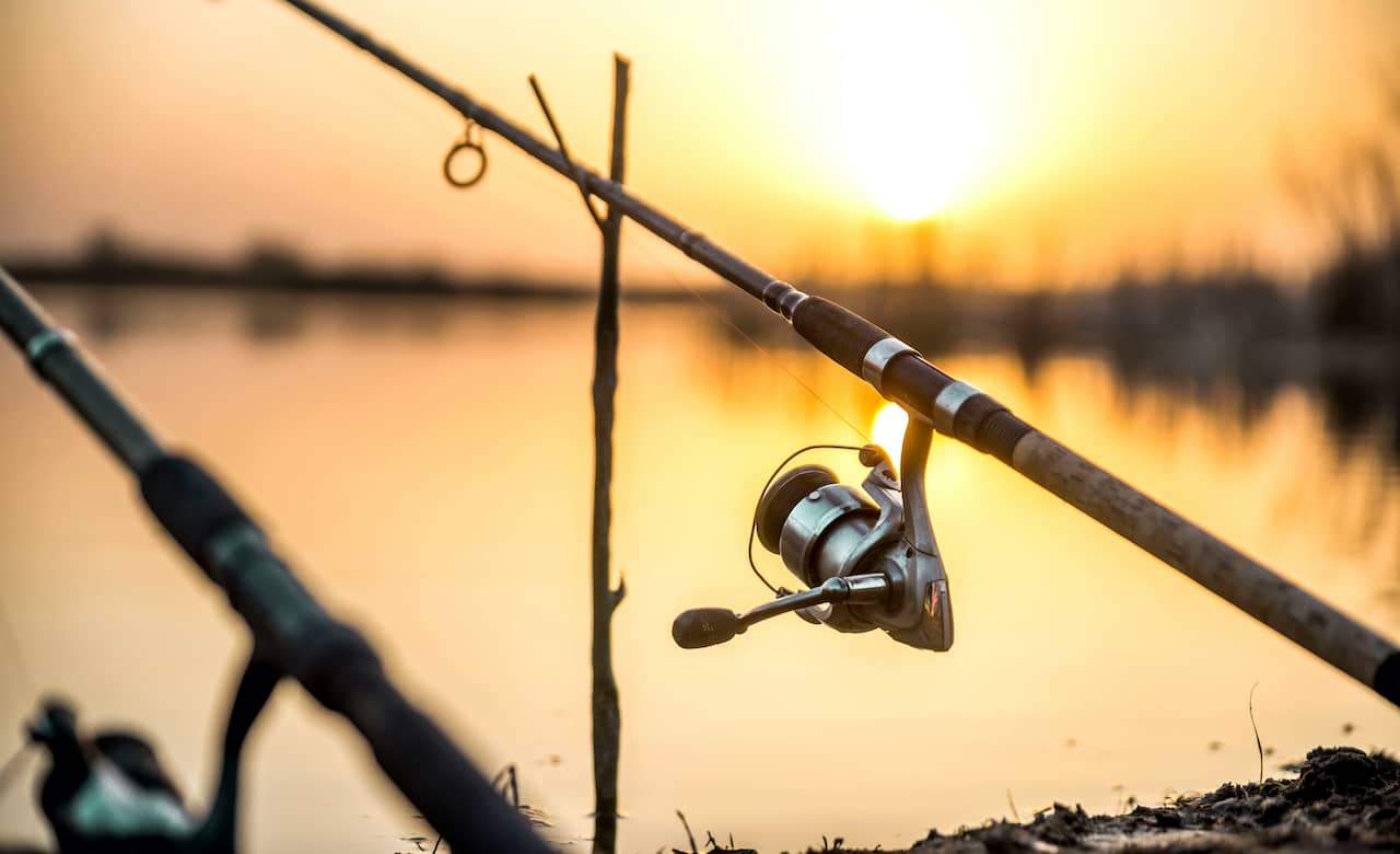 yellowstone fishing