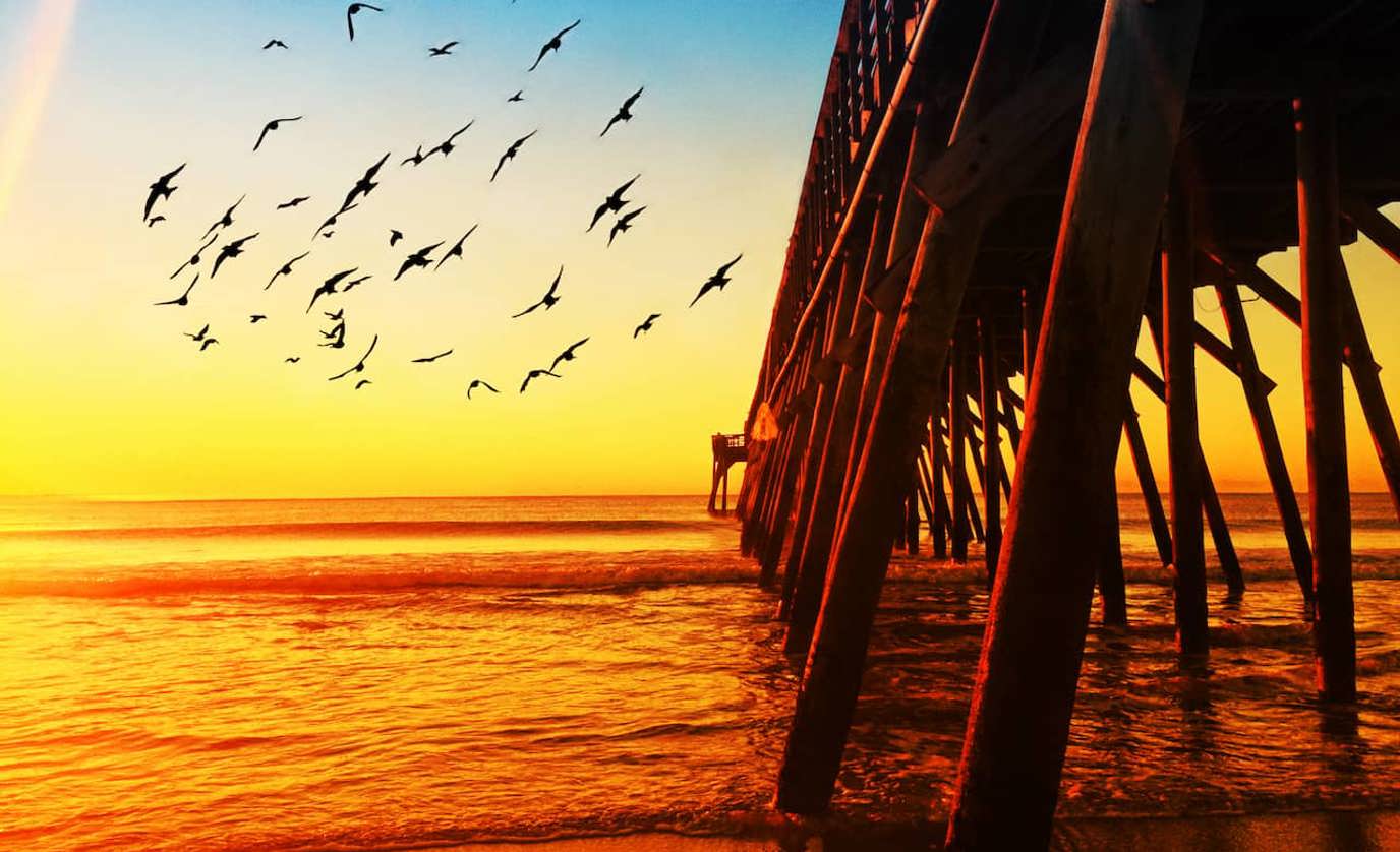 beach RV camping
RV campgrounds on the beach