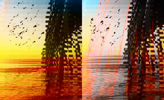 beach RV camping
RV campgrounds on the beach